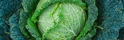 un chou vert entier et des feuilles détachées