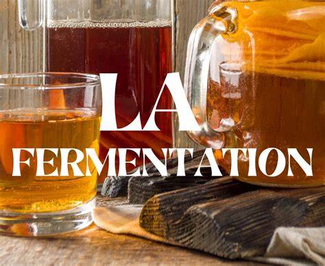 Burros de fermentation et pilones