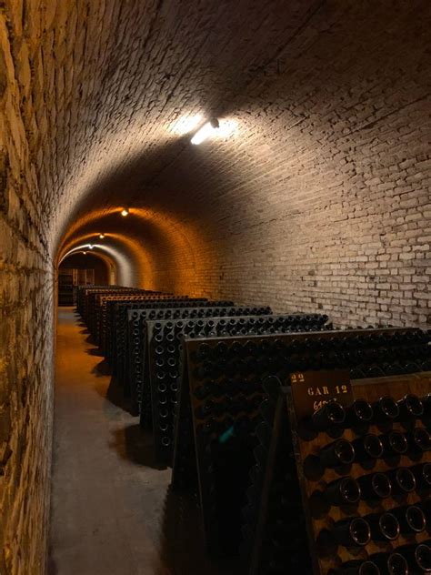 Vieillissement en cave et boîtes de cèdre