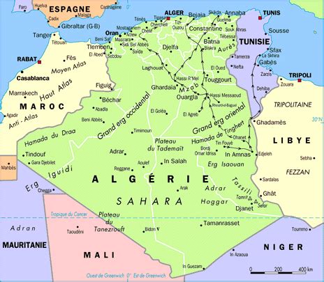 Dessert en forme de carte de l'Algérie avec des couleurs vives