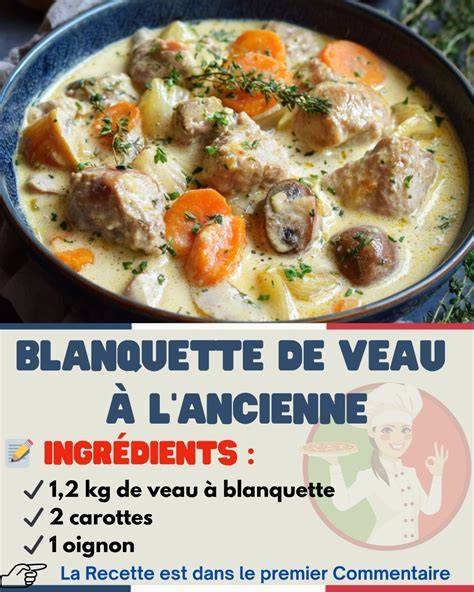 blanquette-ingredients-sauce-illustration