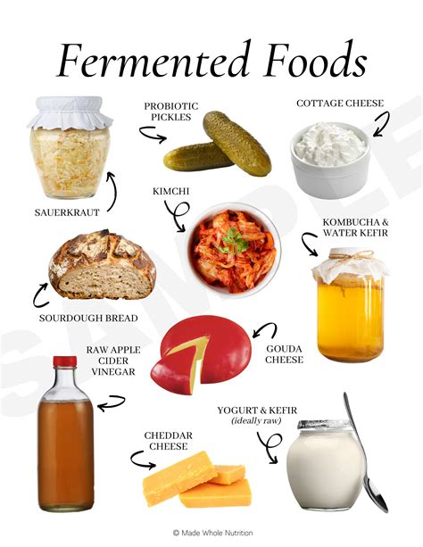 https://example.com/infographie-ferment.jpg