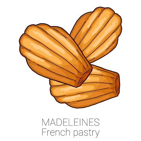 Illustration représentant une madeleine
