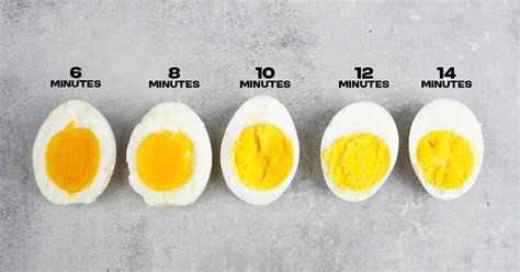 Infographie expliquant les différentes étapes de cuisson d'un œuf dur