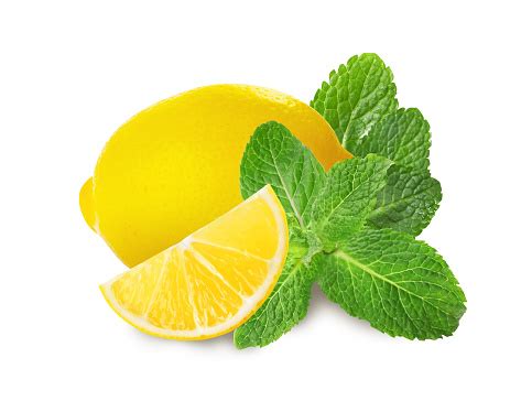 Citrons verts frais et feuilles de menthe