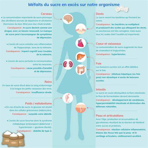 infographie vie du sucre et santé