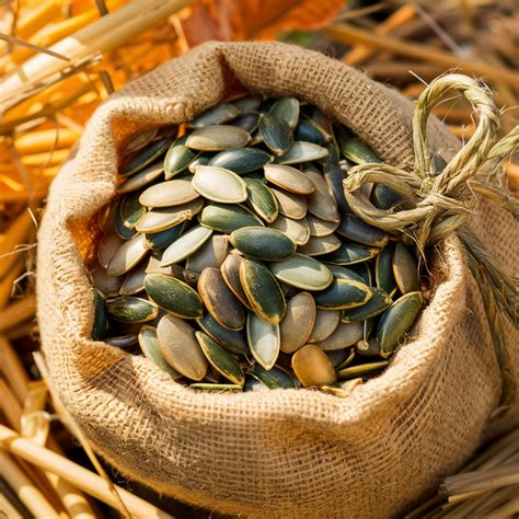 Des croûtons dorés et des graines de courge disposés sur un bol de velouté