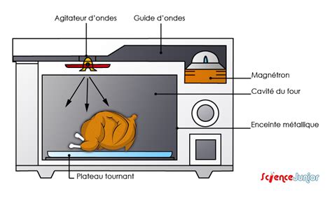 Schéma d'un four à micro-ondes