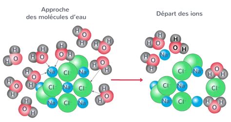 Illustration comparant l'alignement des molécules d'eau sans et avec des micro-ondes