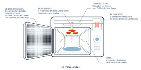 Infographie comparant les différents types de fours micro-ondes (simple, grill, combiné)