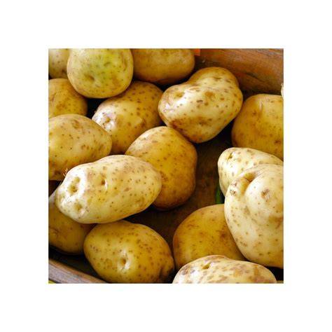 infographie_petits_pommes_de_terre.jpg