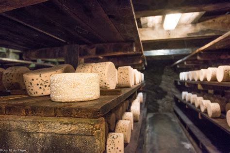 Une meule de Roquefort affinée