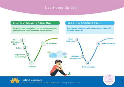Infographie: Schéma d’un entremet dans un cercle ajouré, étapes de dressage et démoulage