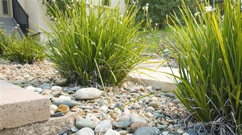 Allée de jardin paysagée avec des galets de marbre blanc