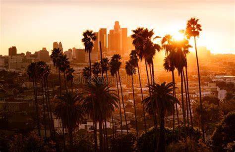 Image d’allée de palmiers évoquant Los Angeles