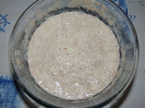 Photo: levain jour 1 à jour 4
