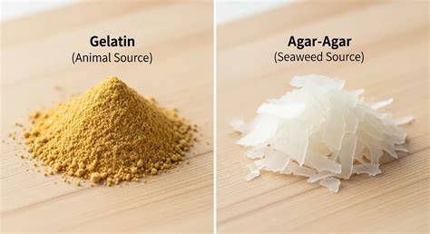 Comparaison de textures: gélatine vs agar-agar