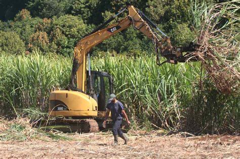 Photo d'une coupeuse de canne à sucre mécanique en action