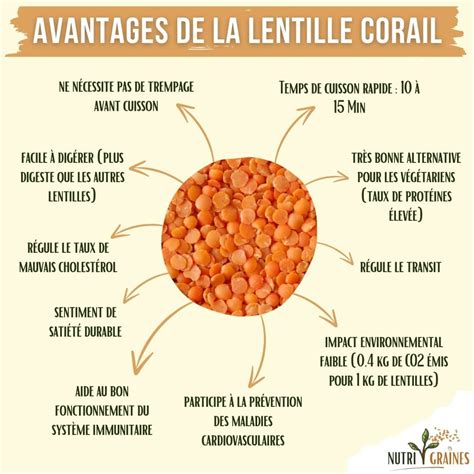 Infographie comparant les nutriments des lentilles vertes, corail et blondes