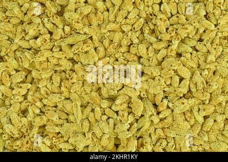 grains de blé moulus