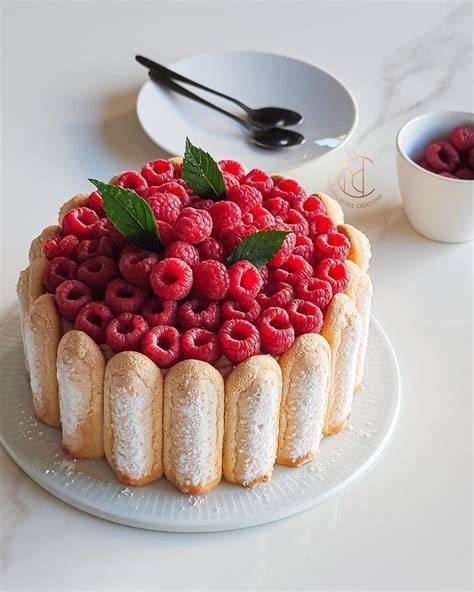 charlotte-framboises-et-biscuits-cuillere