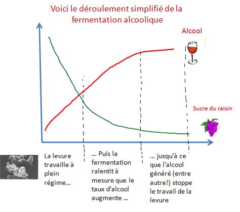 densité fermentation diagramme explication