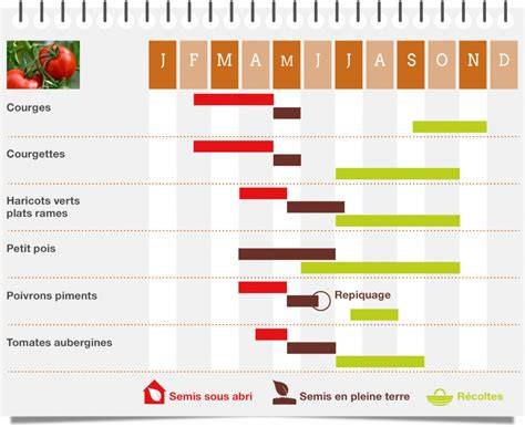 planning installation fruits rouges potager