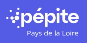 Infographie: Schéma des liens entre Pépite Day, Wendel et prase