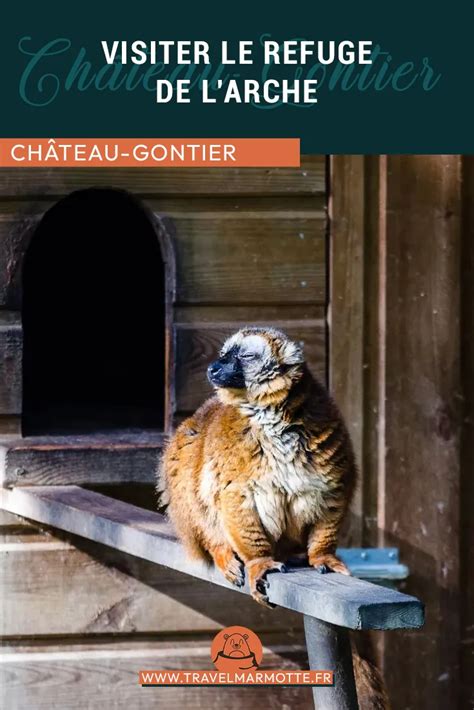 Le Refuge de l'Arche à Château-Gontier