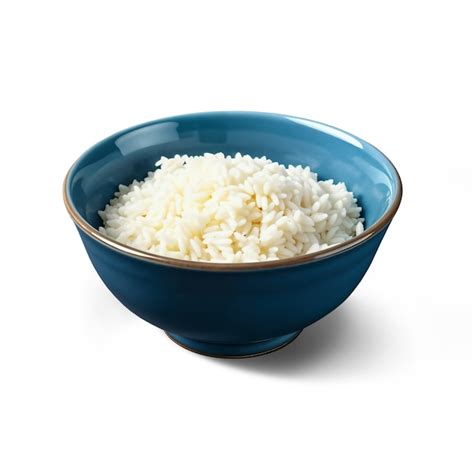 Bol de riz avec des seiches mijotées