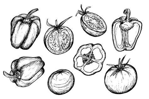 illustration poivrons tomates épices