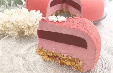 schéma insert framboise entremet