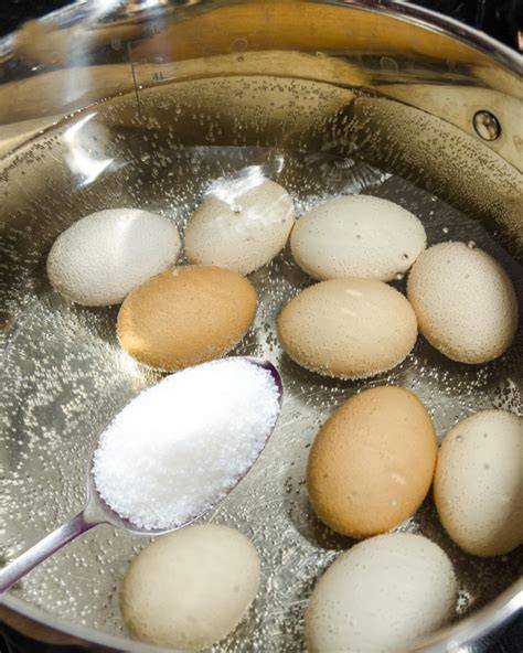 Infographie: étapes clés pour écaler et refroidir les œufs durs