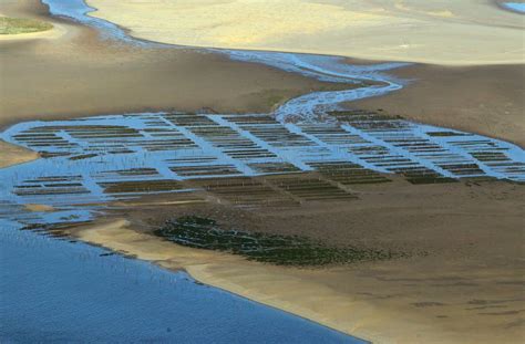 Vue panoramique du Bassin d'Arcachon avec ses parcs à huîtres
