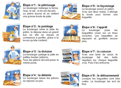 Diagramme montrant les étapes de fabrication du pain