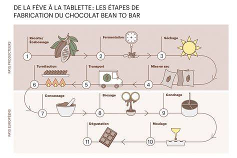 Figure: circuit BEAN TO BAR et étapes de fabrication