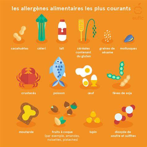 schéma des sources d’allergènes alimentaires courants