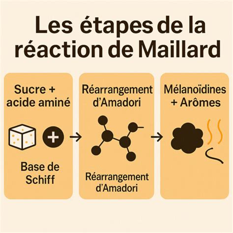Schéma simplifié de la réaction de Maillard