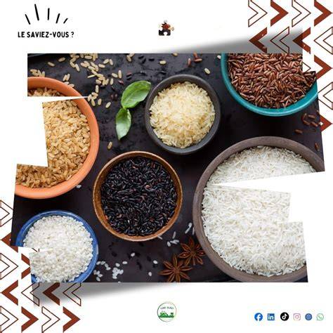 riz rond et cuisson, grains courts et texture