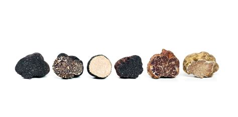 Gamme de truffes artisanales et packaging élégant