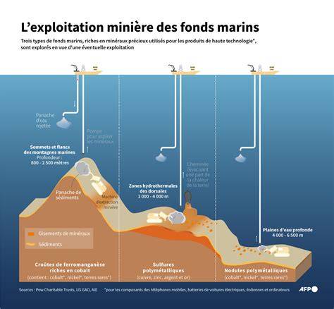 Fonds marins et taffonis du site