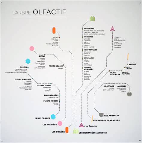 Carte olfactive Grasse et sourcing des arômes