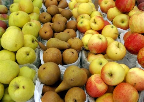 Arbre fruitier en automne avec des poires et des pommes