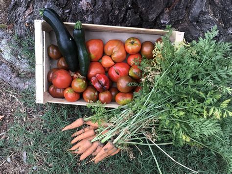 Assortiment de légumes colorés prêts à être cuisinés