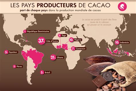 Carte du monde montrant les principaux pays producteurs de cacao