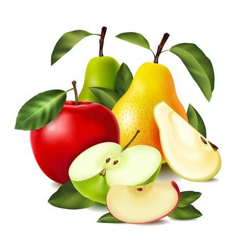 compote pommes poires illustration colorée