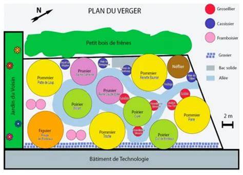 plan conception verger plans et accès
