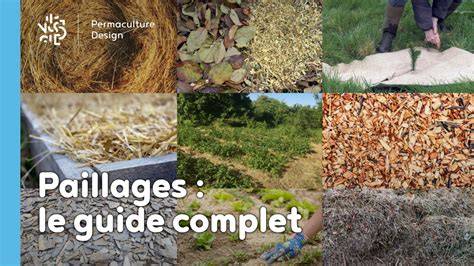 techniques de plantation et paillage