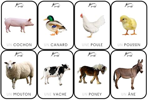 Page d'un busy-book sur le thème de la ferme avec des animaux et des éléments à manipuler