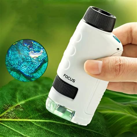 Enfant utilisant un microscope de poche pour observer une feuille d'arbre